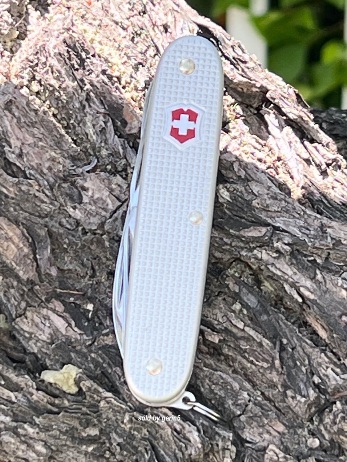 Swiss Army Knife, Pioneer X Silver Alox, Victorinox 0.8231.26, New In Box