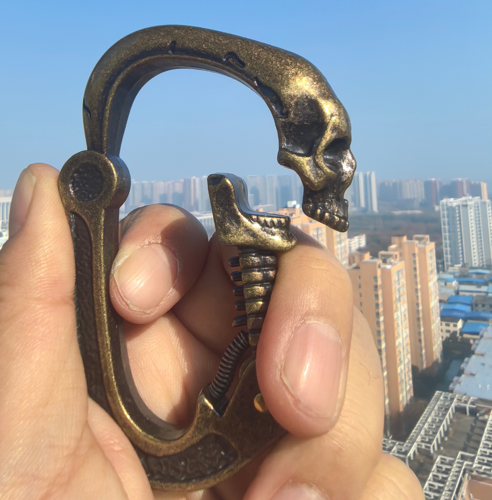 3D Skull Titanium Keyring Multifunctional EDC Tool Carabiner Hook