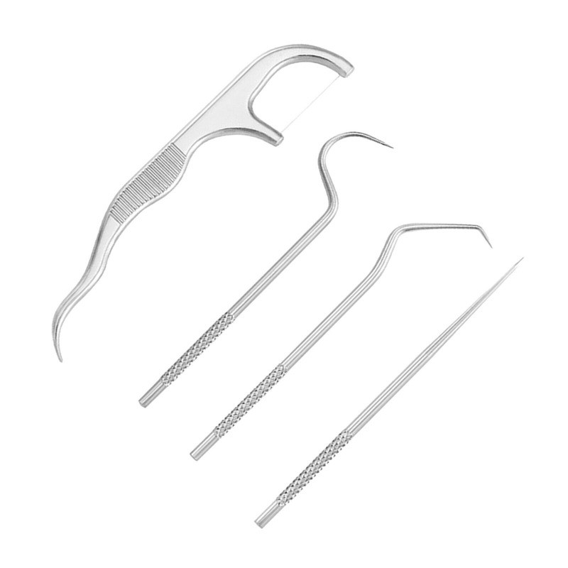 Portable Titanium Toothpick Bag Set Reusable Metal Toothpicks with Holders USA