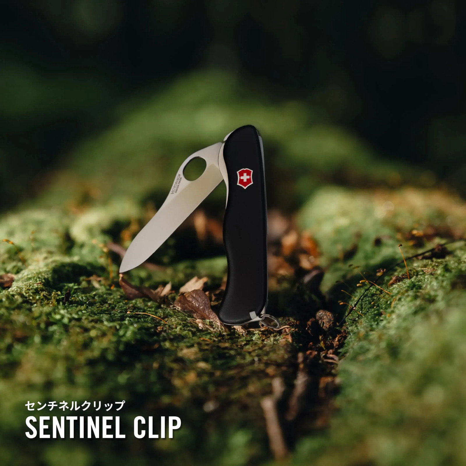 Japan NEW VICTORINOX Sentinel Clip Folding Outdoor Swiss Army Knife Multi-Tool