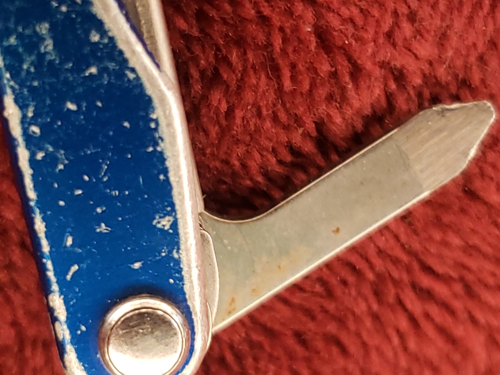 🔪 Leatherman Squirt P4 Multi-Tool Blue Keychain