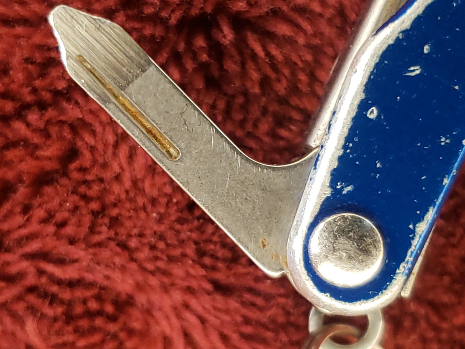 🔪 Leatherman Squirt P4 Multi-Tool Blue Keychain