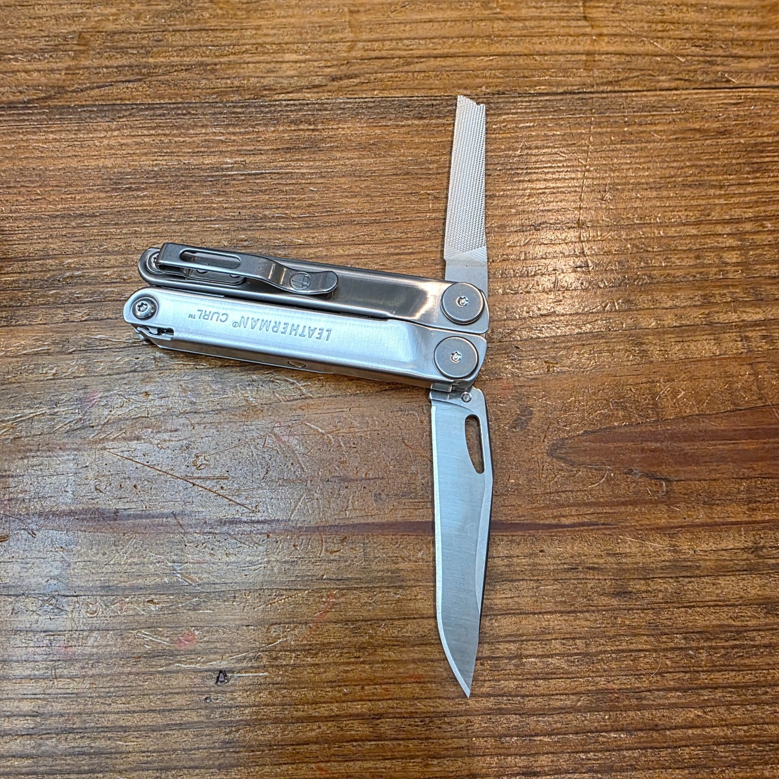 Leatherman Curl Multi-Tool with Sheath – John Proctor is the Villian Crew