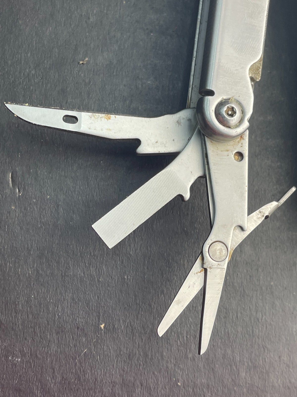 Leatherman Curl Stainless Steel Multi-Tool