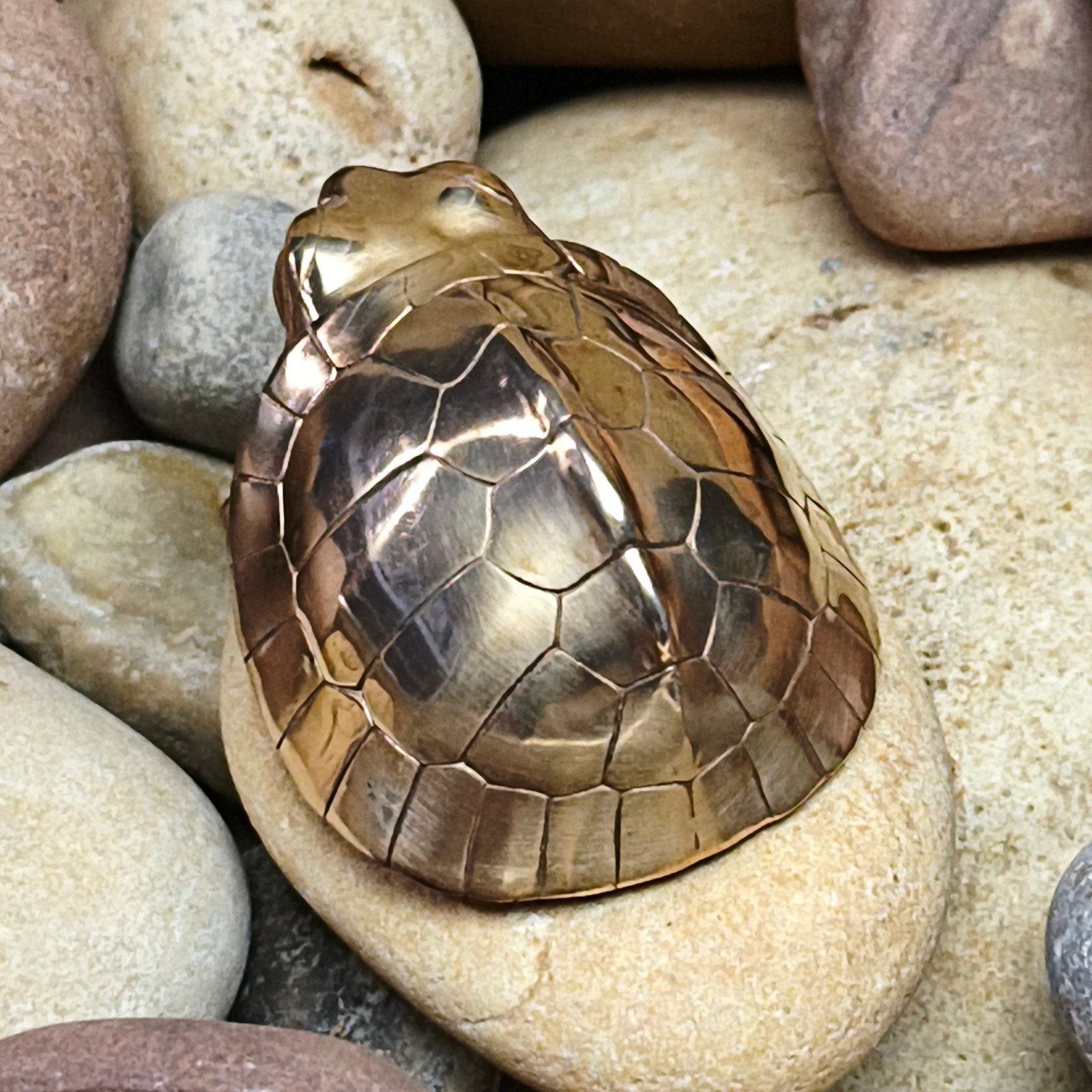 Purple copper yellow margined box turtle Tortoise handcraft animal reptile