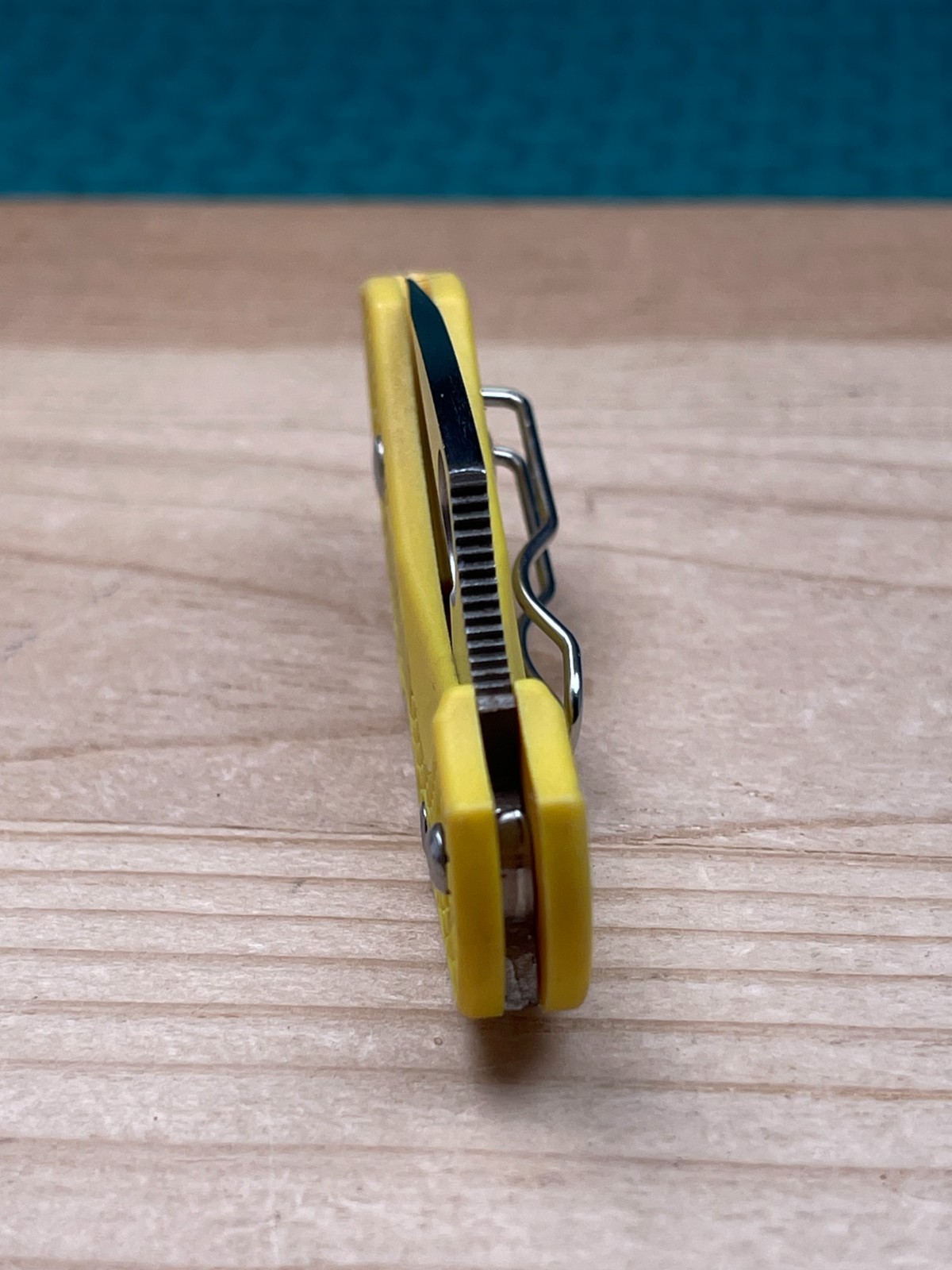 Spyderco Dragonfly Salt H1 Yellow Plain Edge Blade Folding Pocket Knife