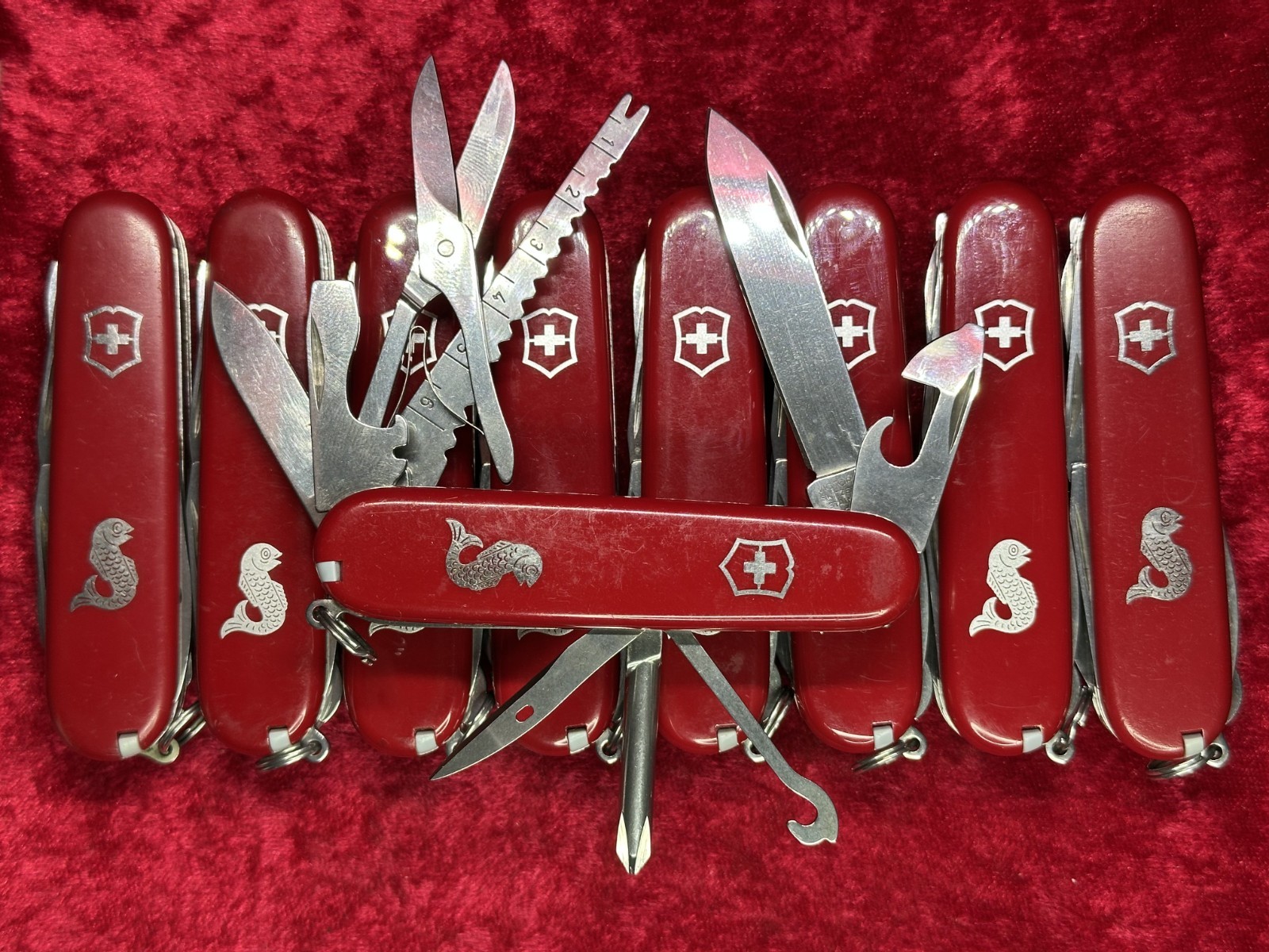 Victorinox Fisherman Swiss Army Knife 12 Tool No Sheath Random Pick Used (431)