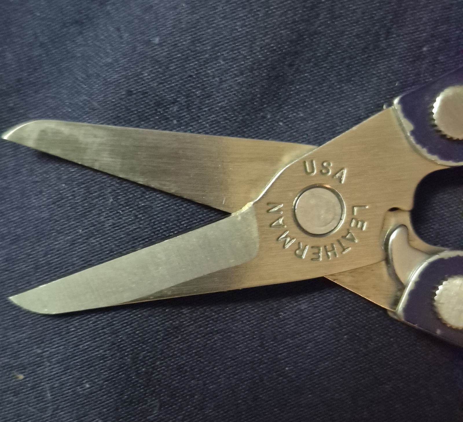 Leatherman Micra 10-Tool Multi-Tool 2″ Straight Blade Blue/Silver Lanyard 2.5″