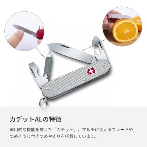 VICTORINOX Victorinox Cadet ALOX Knife Outdoor [Official Japanese Product]