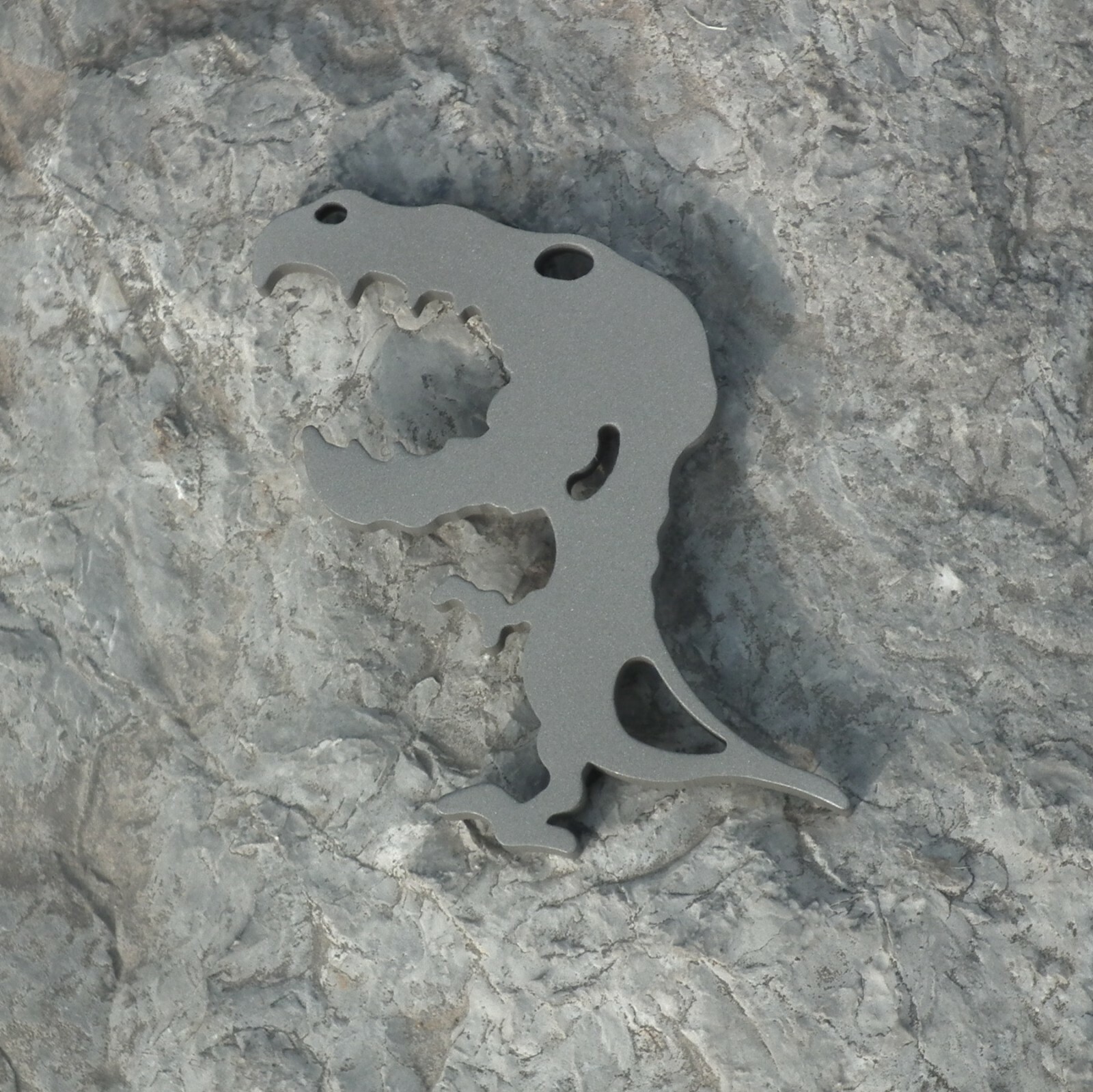 EDC OPENER KEY CHAIN OUTDOOR MULTI pocket TOOLS dragon rex
