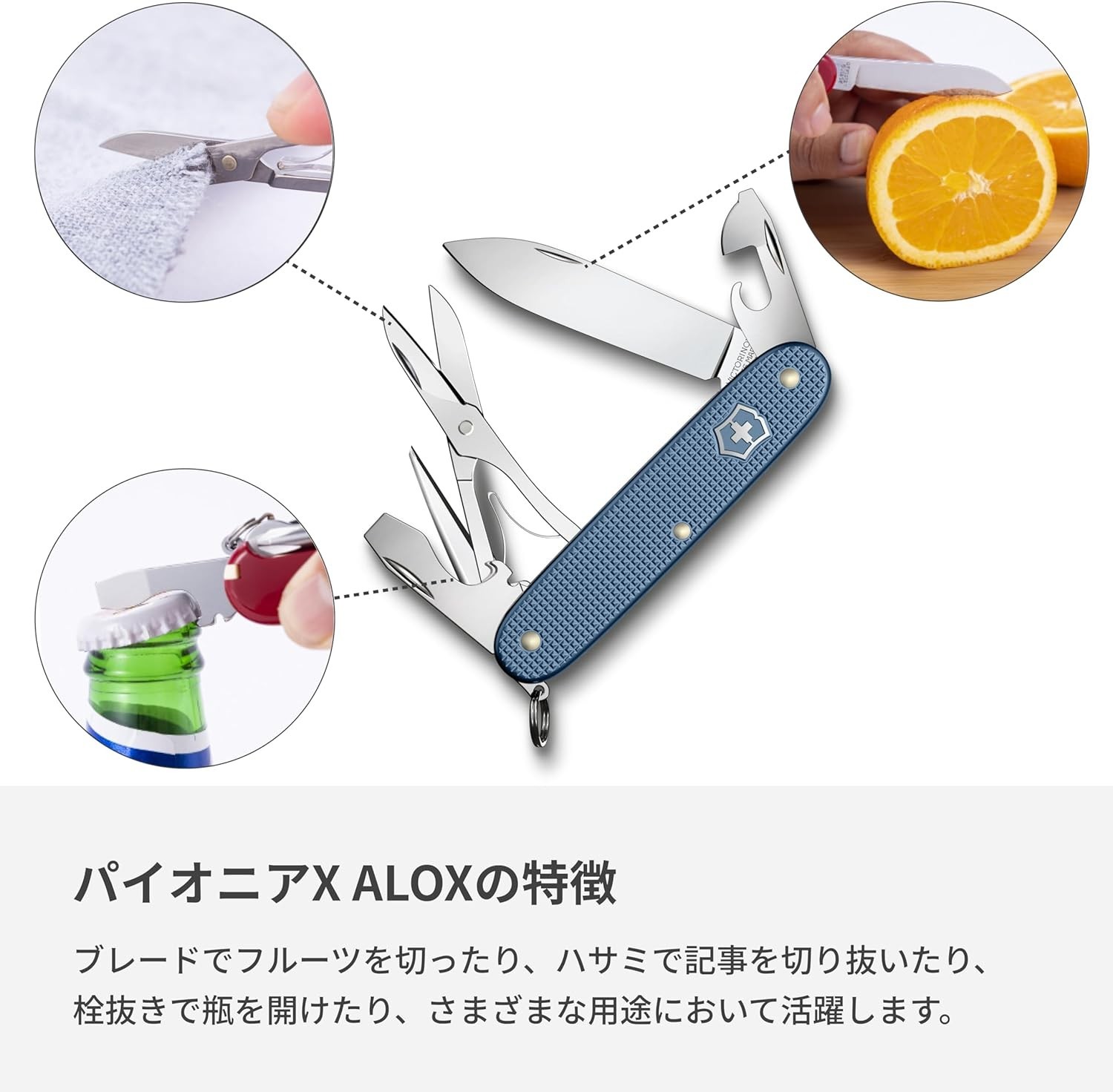 Victorinox Pioneer X Alox Limited Edition 2026 Glacial Blue New From Japan