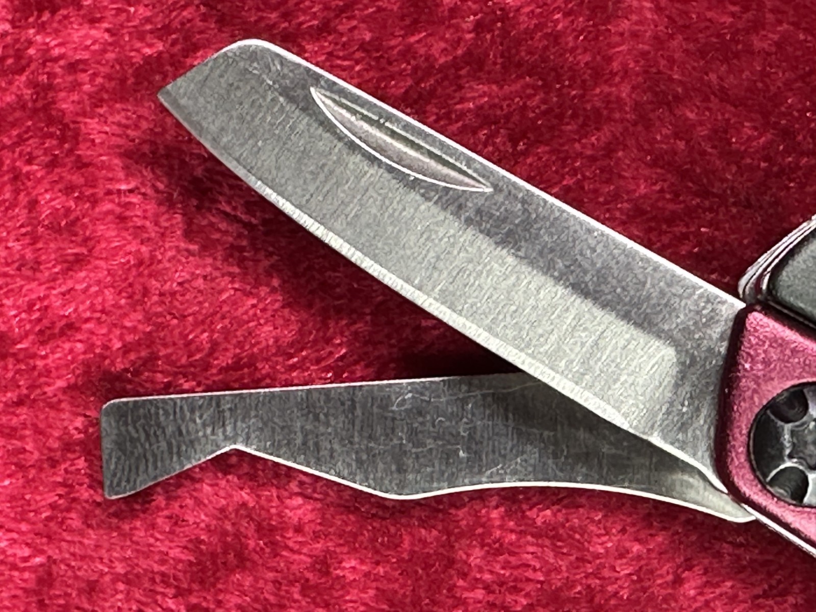 Gerber Dime Burgundy Wine Mini Multi-Tool Keychain Random Pick Rare Color (445)