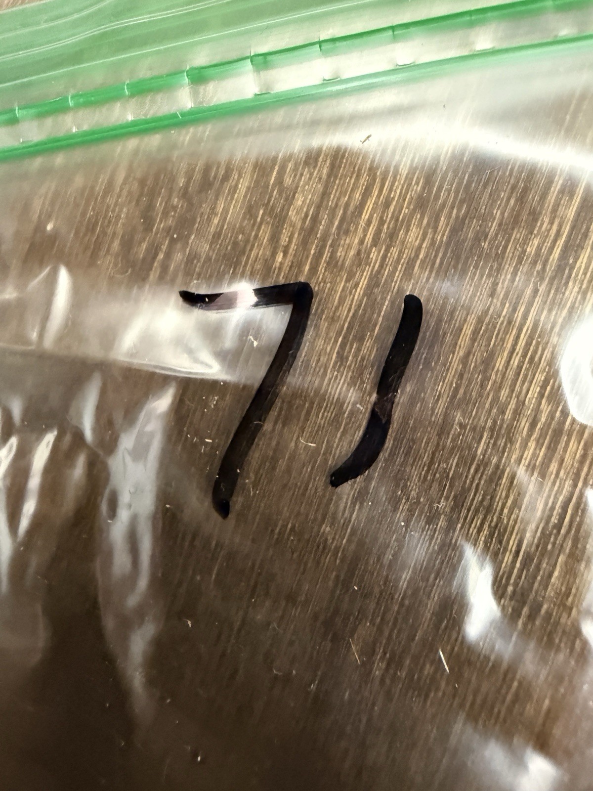 Leatherman Squirt PS4 Multitool.
