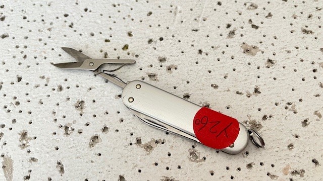 Victorinox Classic SD Smooth Scales Alox Silver Multi Tool Rostfrei REYNOLDS