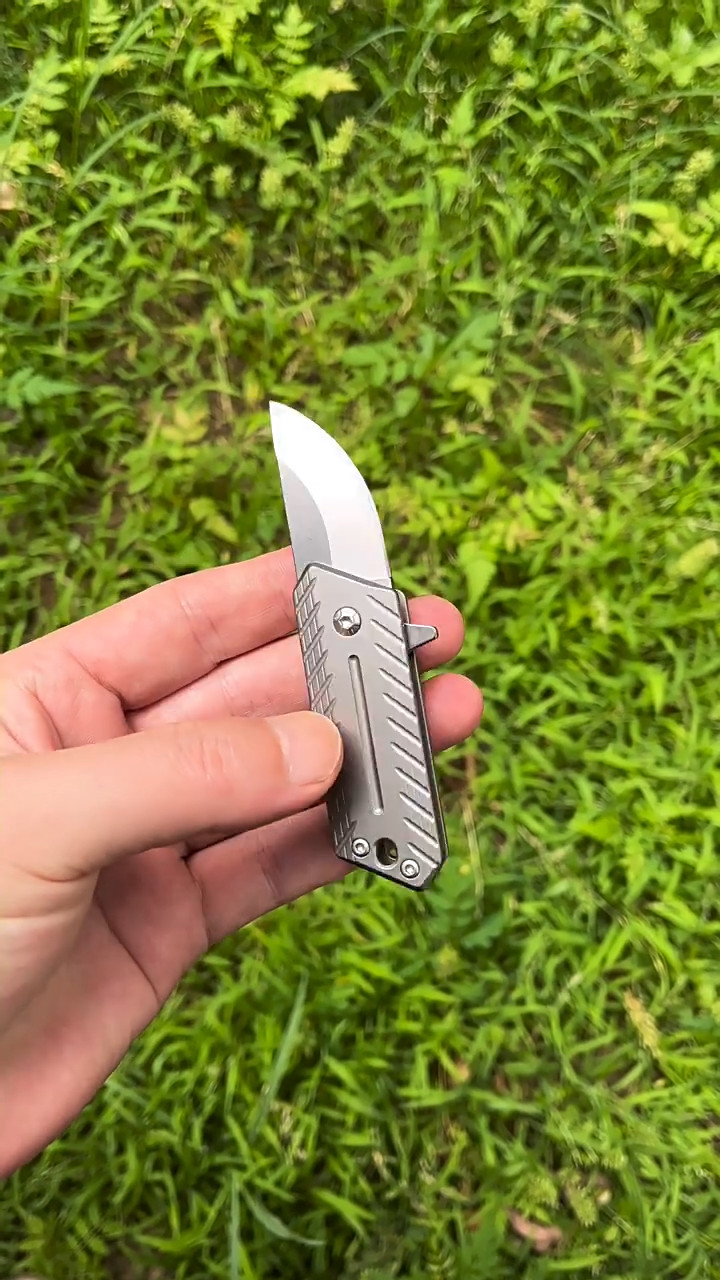 Mini Titanium Folding Knife D2 Blade Outdoor Survival Pocket Keychain EDC Tool