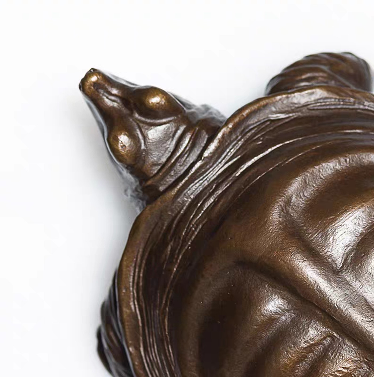 Brass copper Soft-shelled turtle ornament Solid Artistic handcraft