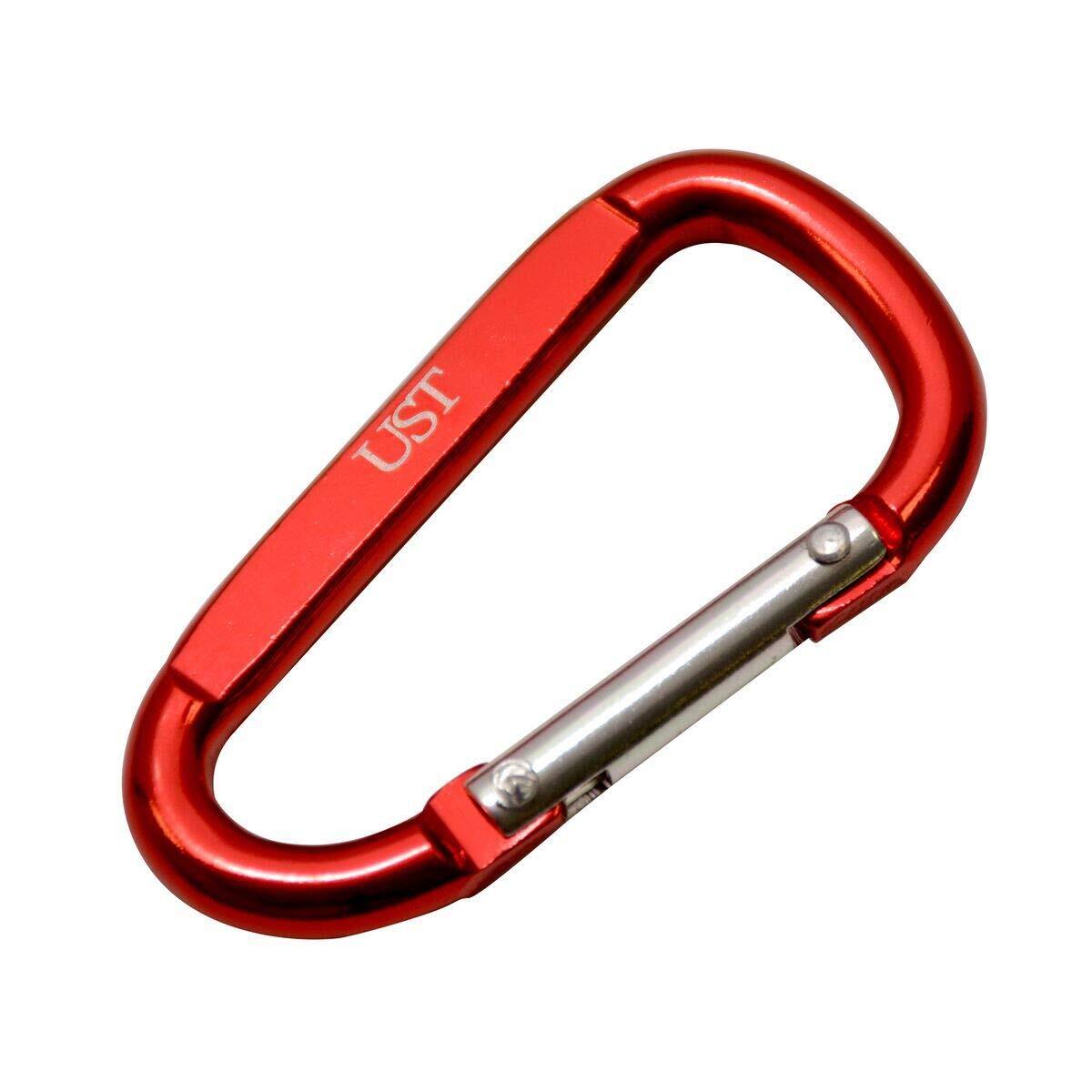 60lb. D-Ring Carabiner 2 Pack – Ships as Assorted Colors (NOT FOR CLIMBING)