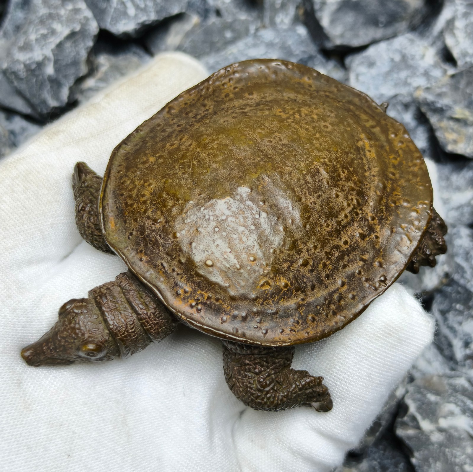 Solid Refined soft shelled Turtle Statue Artwork Decor pet reptile cast sculptur