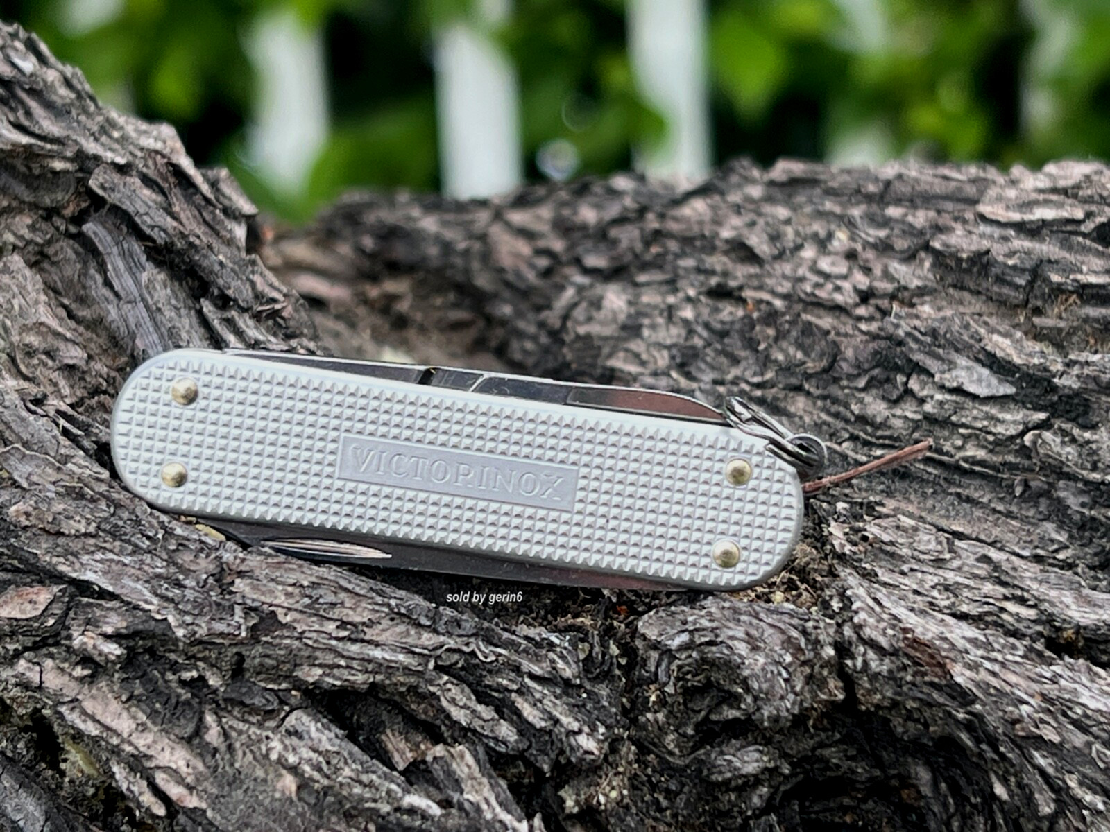 Swiss Army Knife, Classic Silver Alox, Victorinox 53012, New In Box