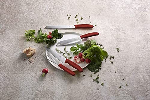 Victorinox 6.7131.2G Swiss Classic Carving Fork and Knife Set Red Set of 2NEW