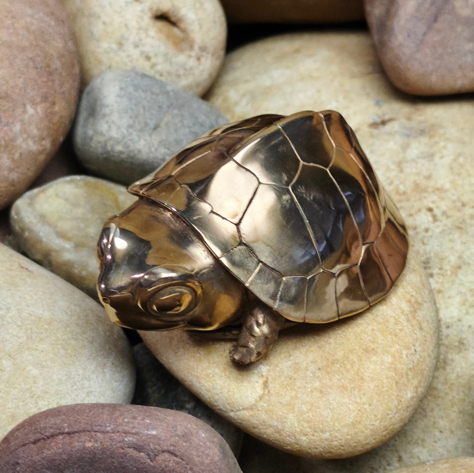 Purple copper yellow margined box turtle Tortoise handcraft animal reptile