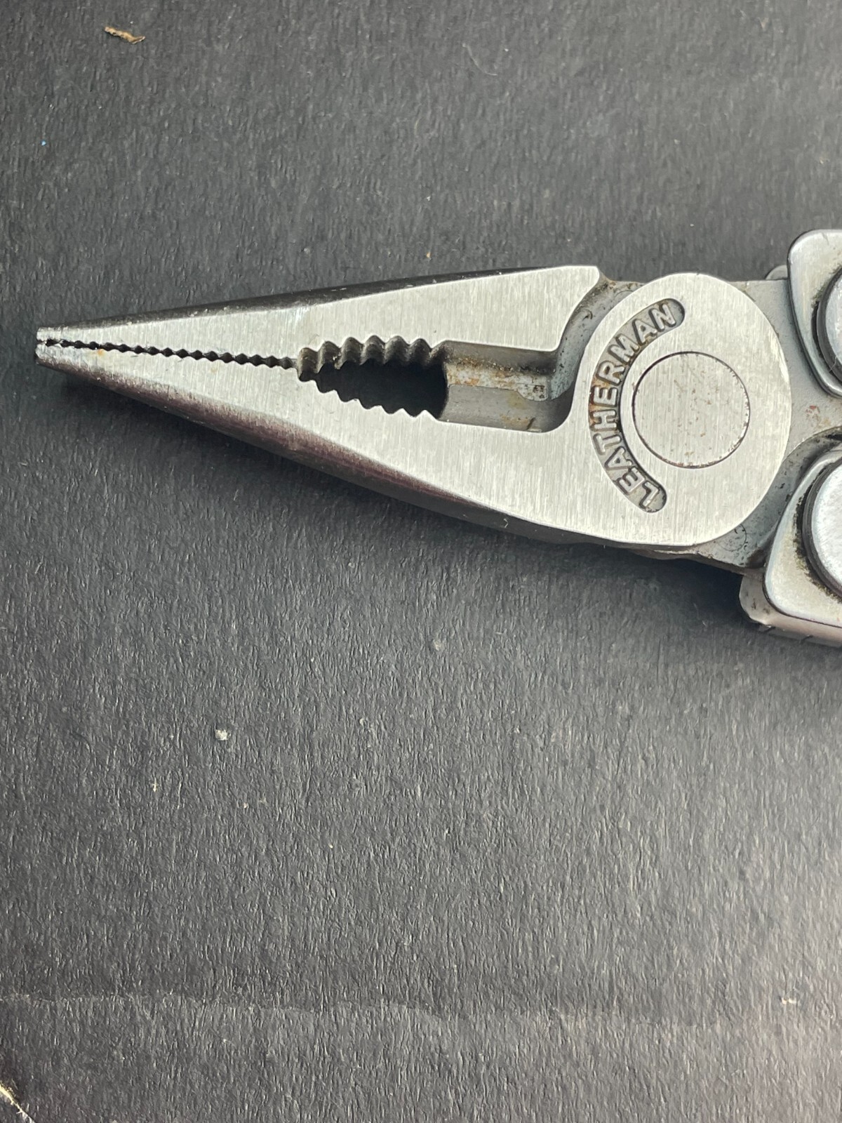 Leatherman Curl Stainless Steel Multi-Tool