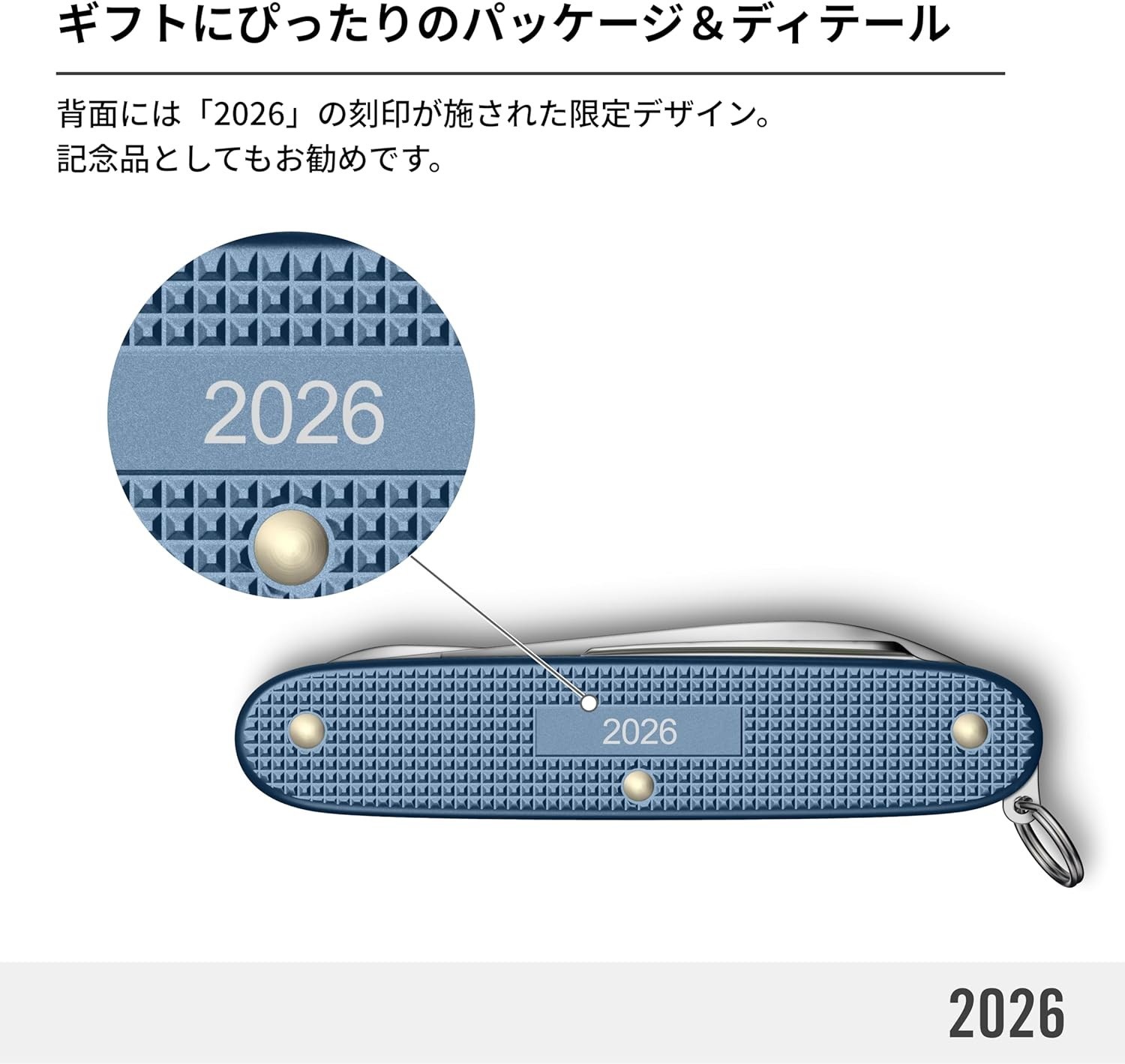 Victorinox Pioneer X Alox Limited Edition 2026 Glacial Blue New From Japan