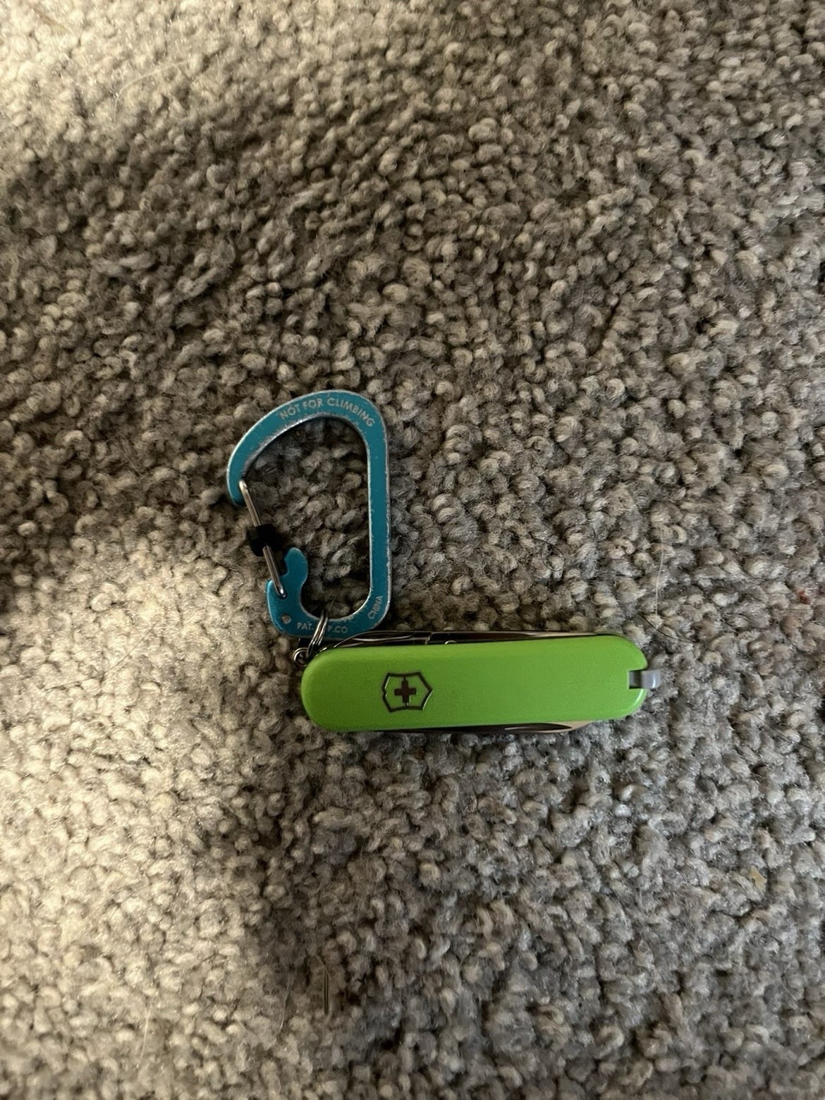 Swiss Multi-Tool Green Plastic Stainless Steel with Carabiner
