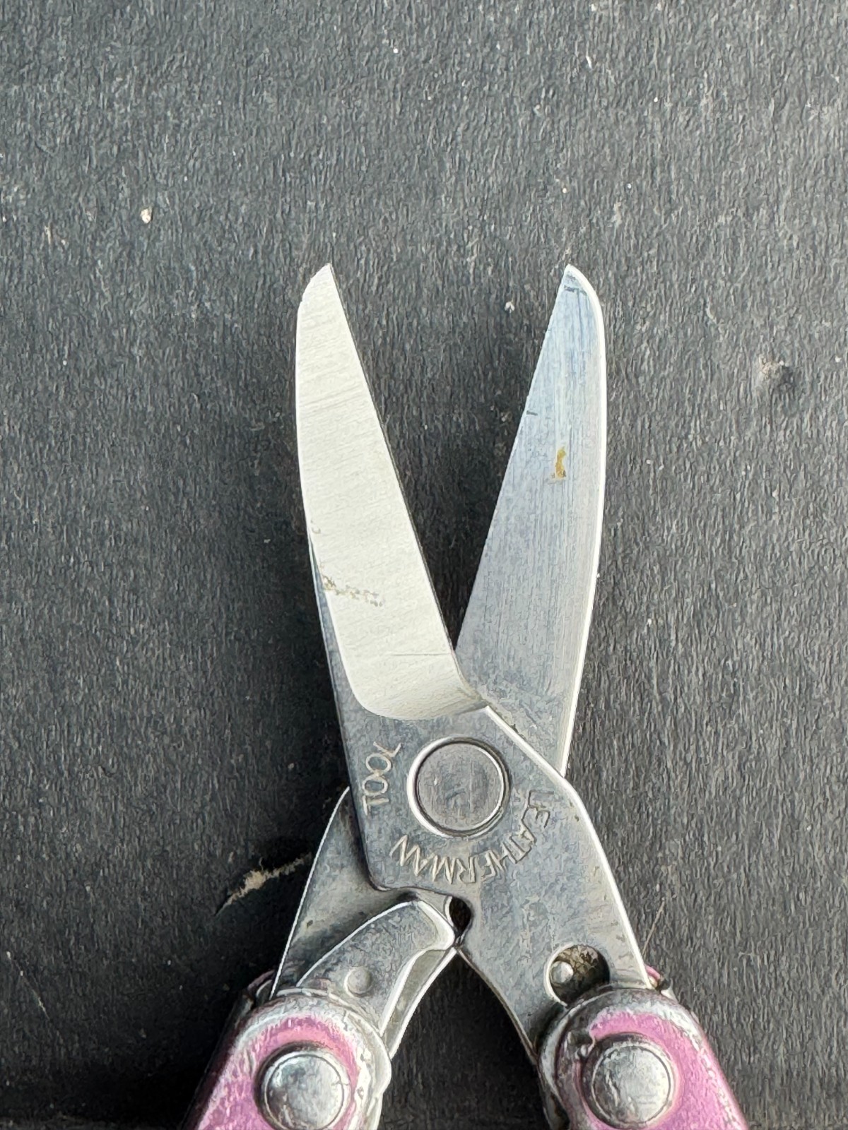 Leatherman Squirt S4 Stainless Steel Multitool Keychain – Various Colors