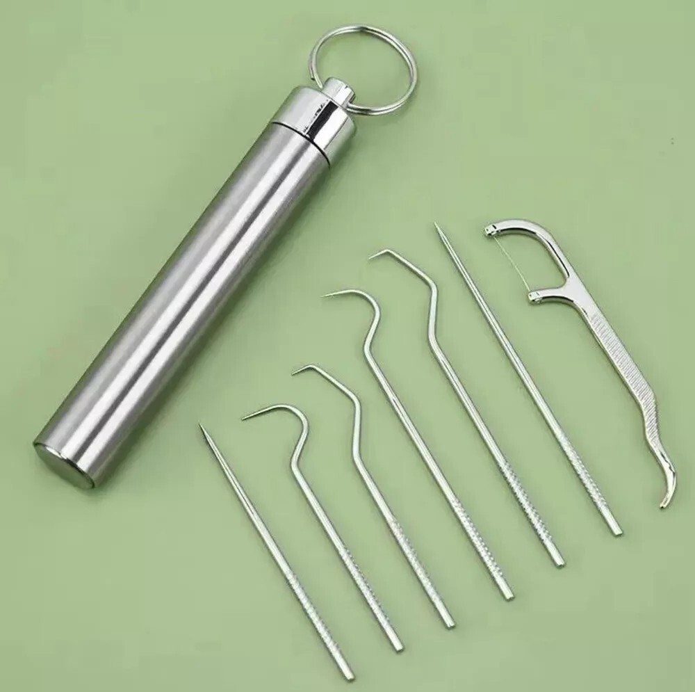 7PC Portable Steel Toothpicks Set Reusable Metal Toothpick Kit gift holiday Camp