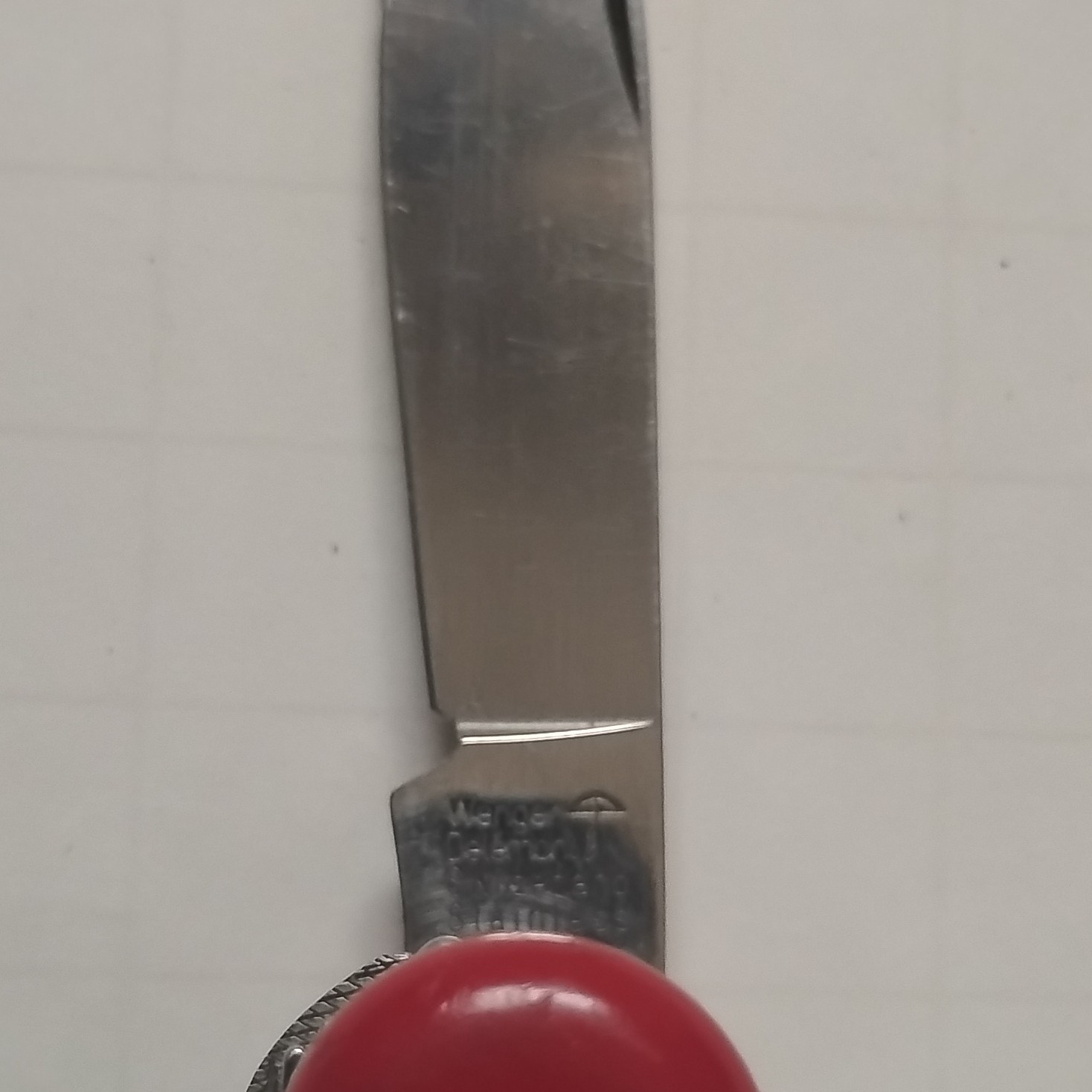 Rare Setter Pointer Wenger Delemont Switzerland Large Swiss Army Knife READ DESC
