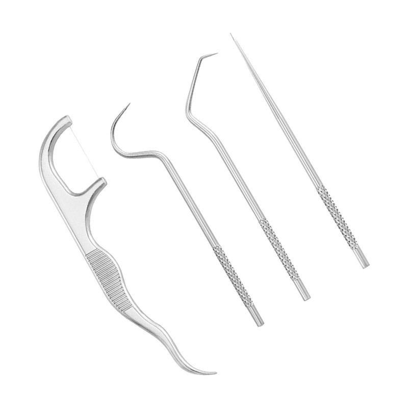 Portable Titanium Toothpick Bag Set Reusable Metal Toothpicks with Holders USA