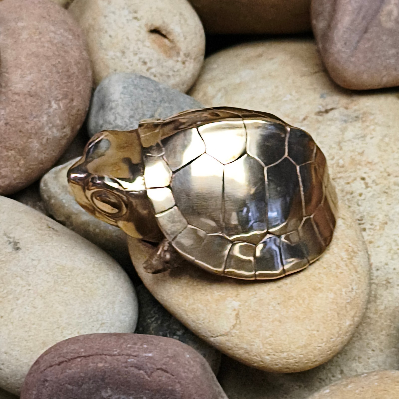 Purple copper yellow margined box turtle Tortoise handcraft animal reptile