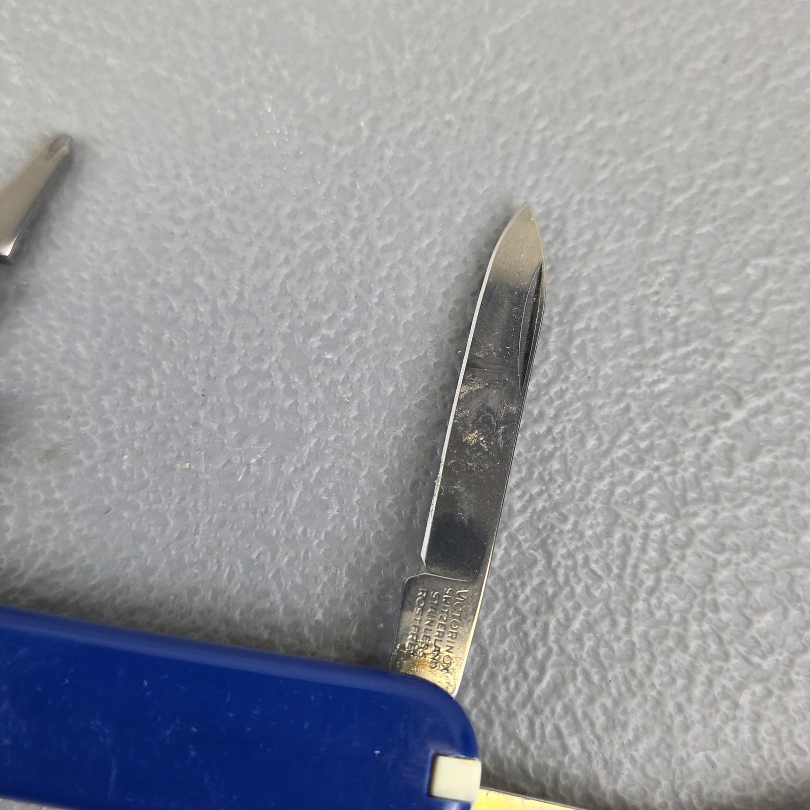 Victorinox Classic SD Multi-Tool Blue Swiss Army Knife Associated Spring Saline