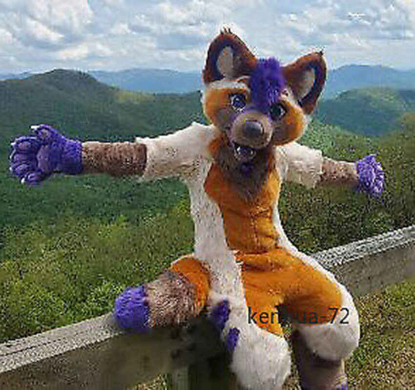 2022 Long Fur Husky Dog Fox Mascot Costume Fursuit Halloween Suit Cosplay 64#