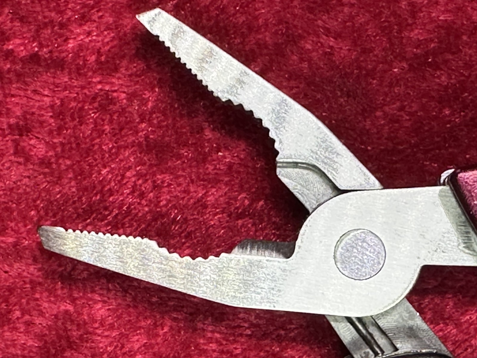 Gerber Dime Burgundy Wine Mini Multi-Tool Keychain Random Pick Rare Color (445)