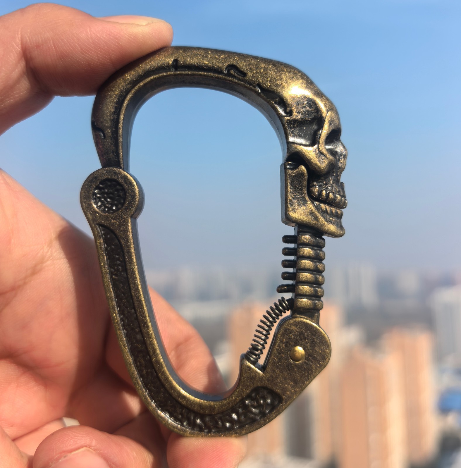 3D Skull Titanium Keyring Multifunctional EDC Tool Carabiner Hook
