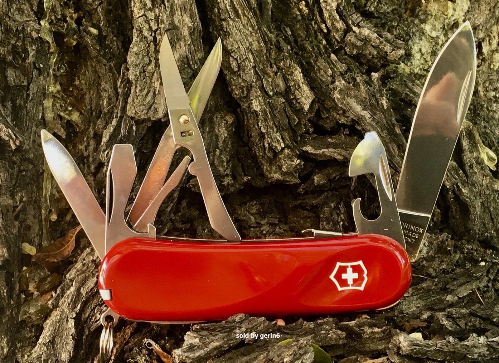 Victorinox Swiss Army Knife Evolution S14, 2.3903.SE-X2 Locking Blade New In Box