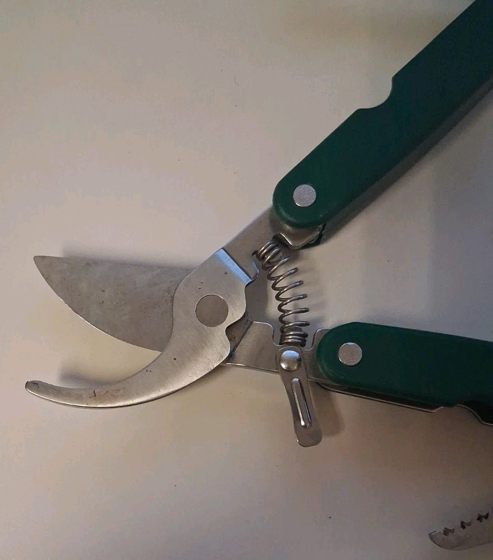 Coast Pruning Multi Tool