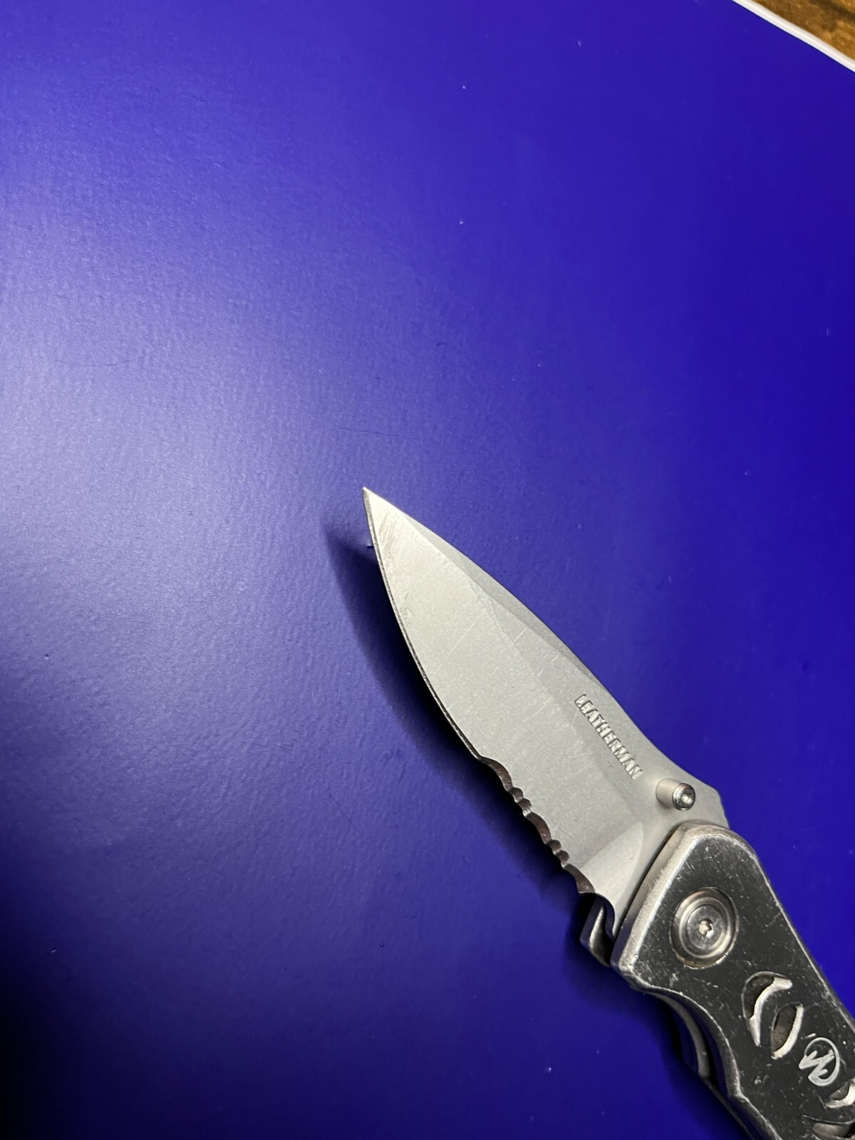 Leatherman C303 Folding Pocket Knife With Carabiner Clip