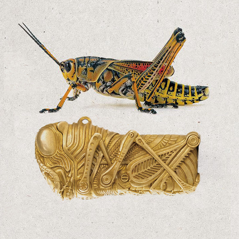 Handmade Brass Grasshopper Flip Lighter Shell for Cricket Luxury Goods