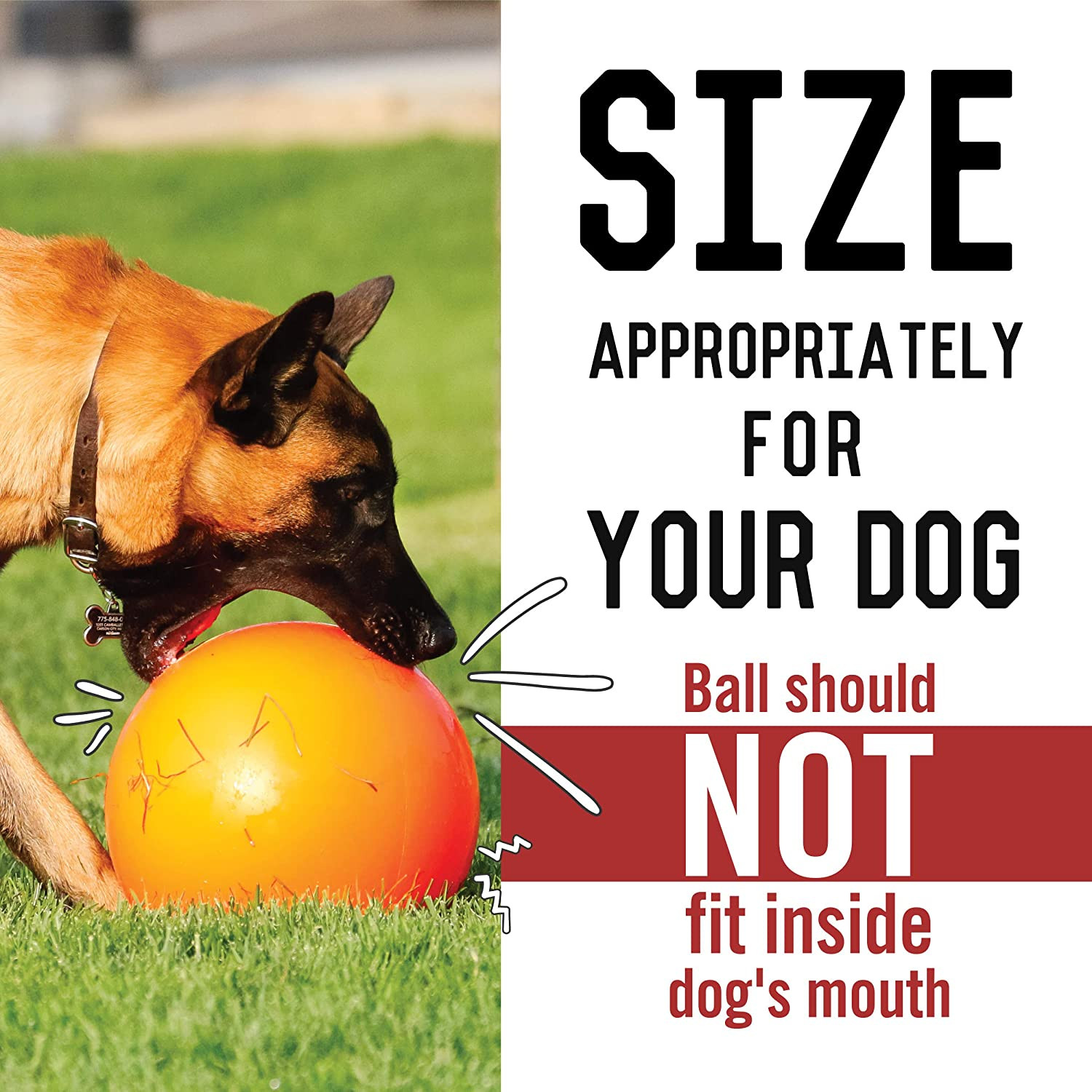 B00CIT99BC Virtually Indestructible Best Ball (Hard Plastic, Colors May Vary), A
