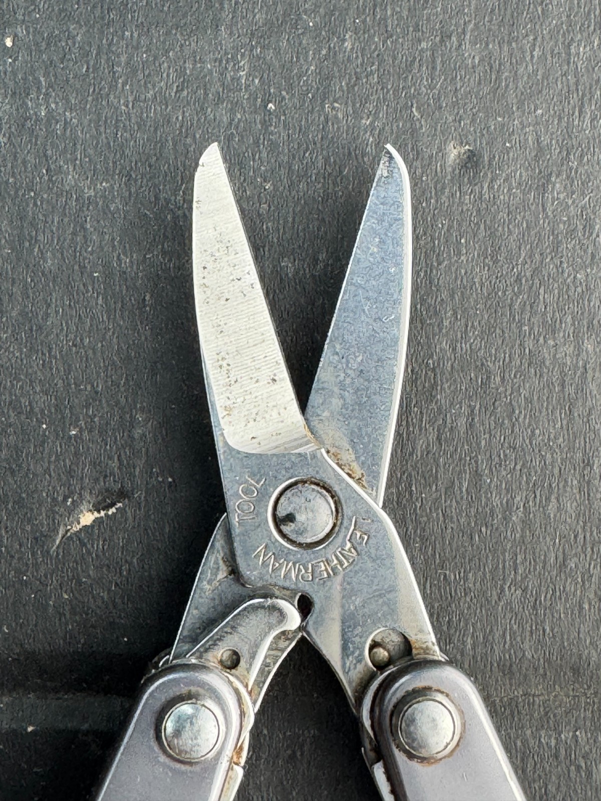 Leatherman Squirt S4 Stainless Steel Multitool Keychain – Gray