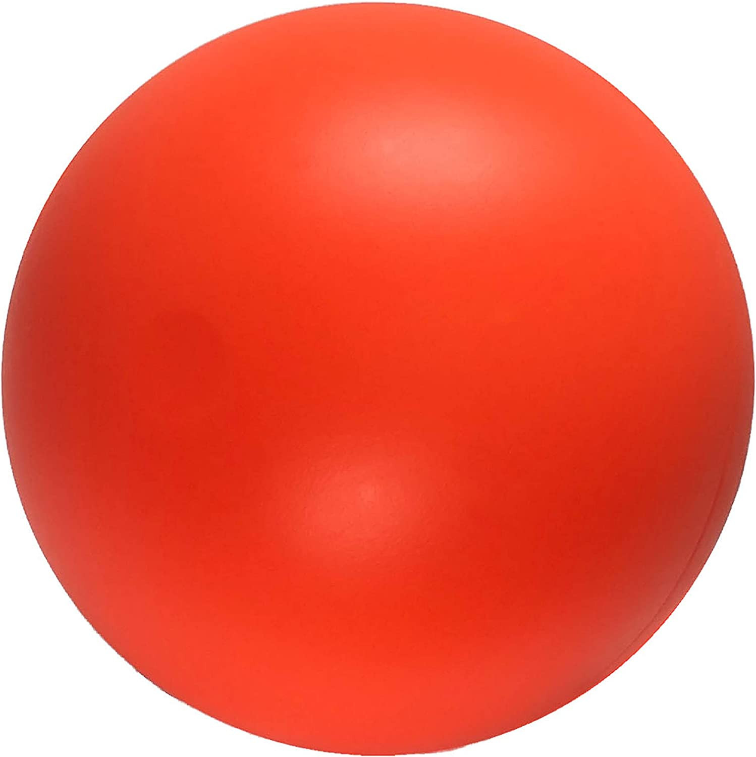 B00CIT99BC Virtually Indestructible Best Ball (Hard Plastic, Colors May Vary), A