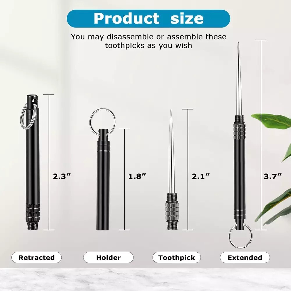 5 Pieces Metal Titanium Toothpicks Portable Toothpick Keychain Travel camping