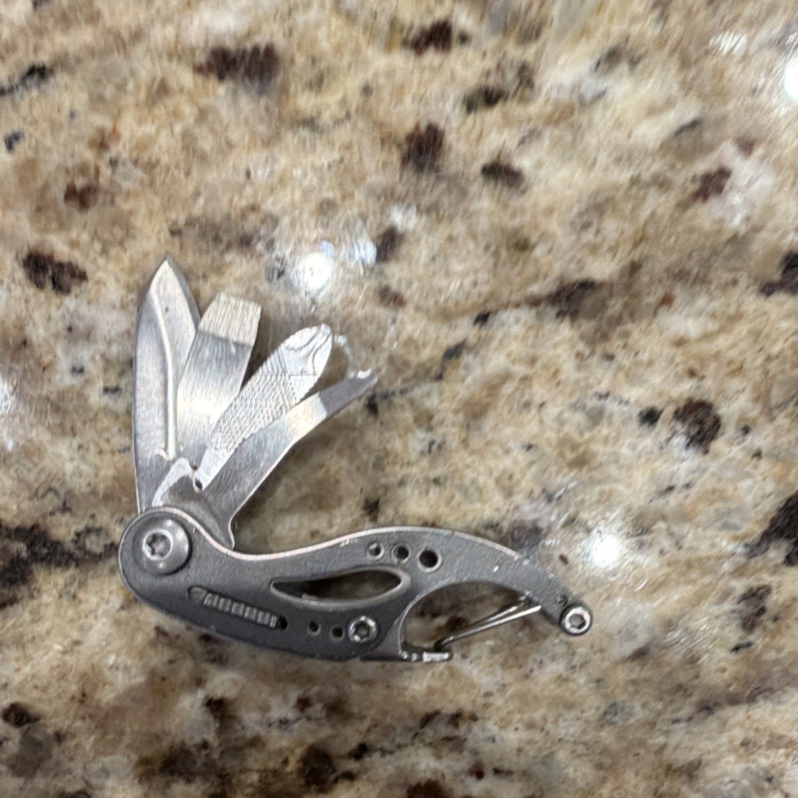 Gerber Curve Stainless Steel Multi-Tool Silver Knife File Screwdriver Carabiner