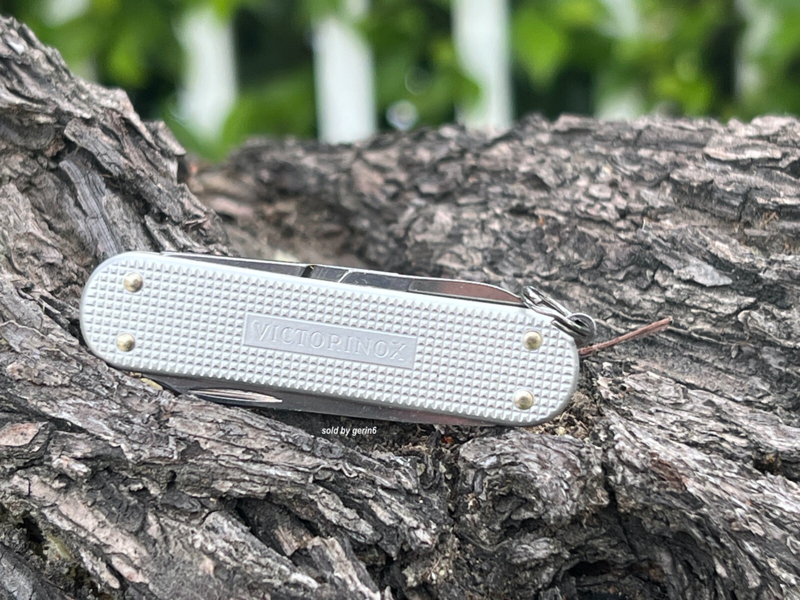 Swiss Army Knife, Classic Silver Alox, Victorinox 0.6221.26, New With Pouch