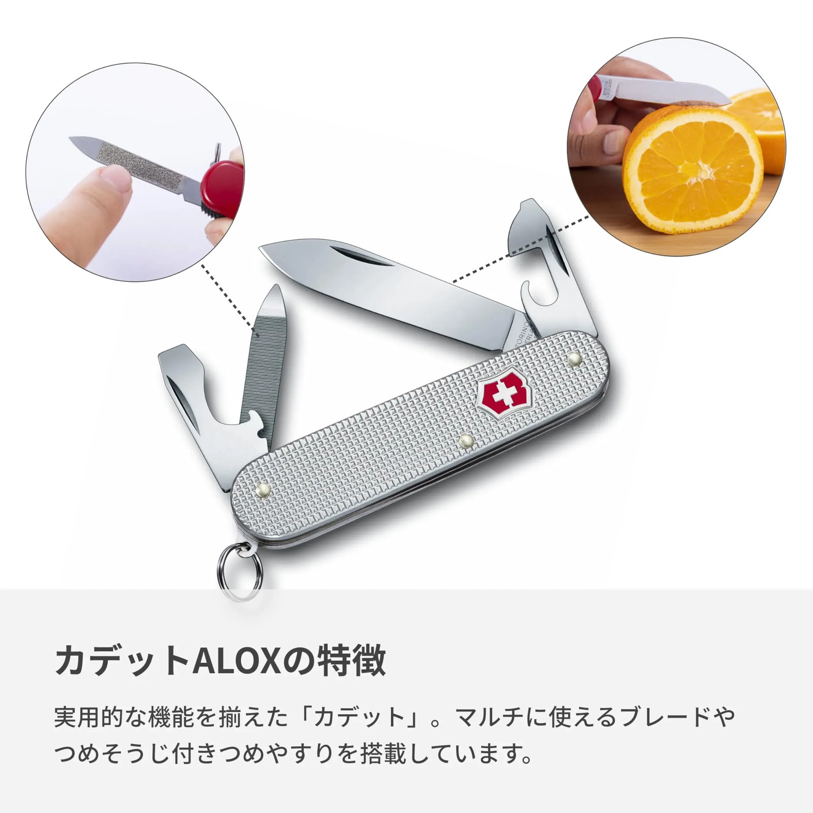 Japan NEW VICTORINOX Cadet ALOX Knife Outdoor Genuine 0.2601.26