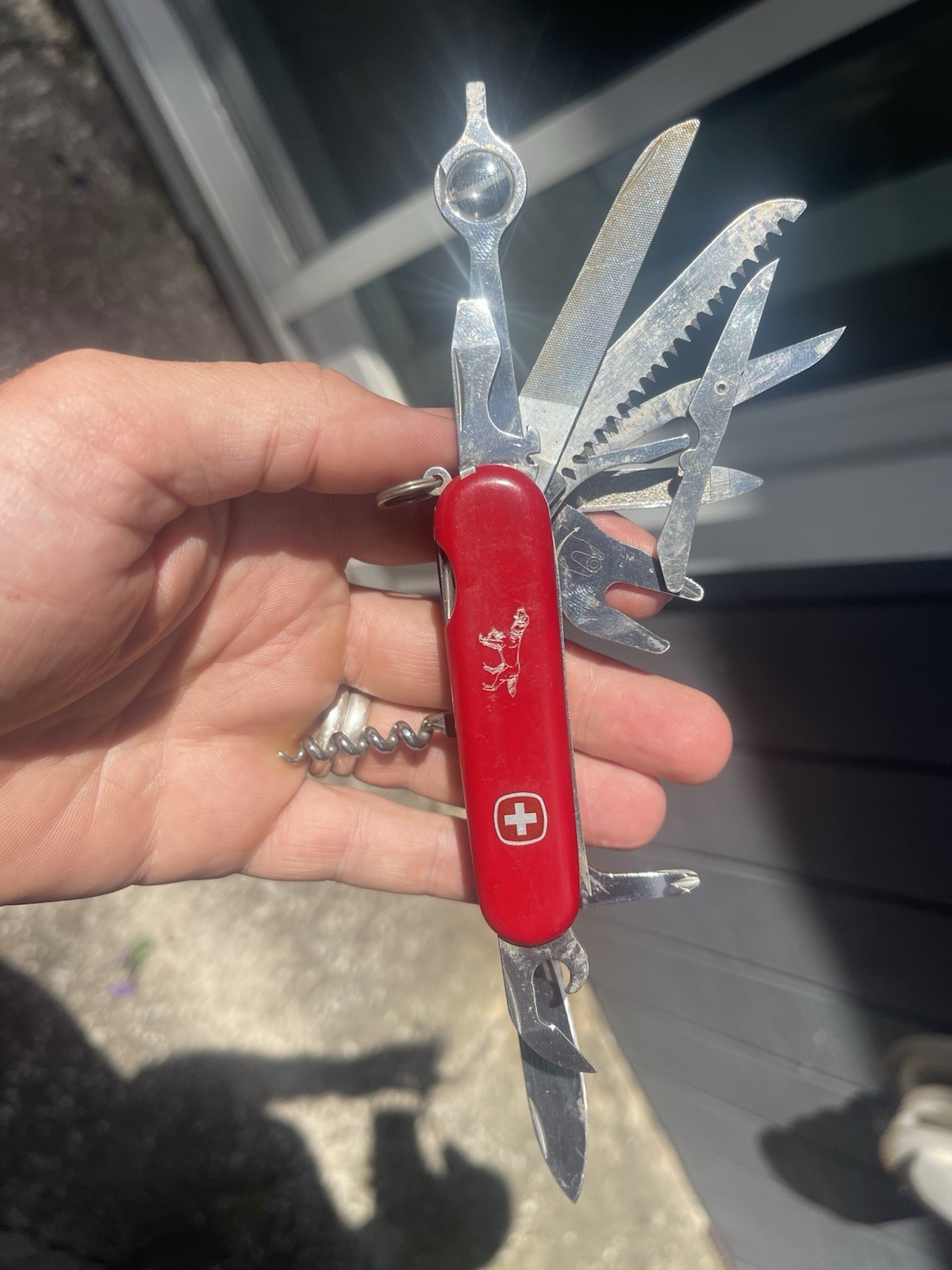 Rare Setter Pointer Wenger Delemont Switzerland Large Swiss Army Knife