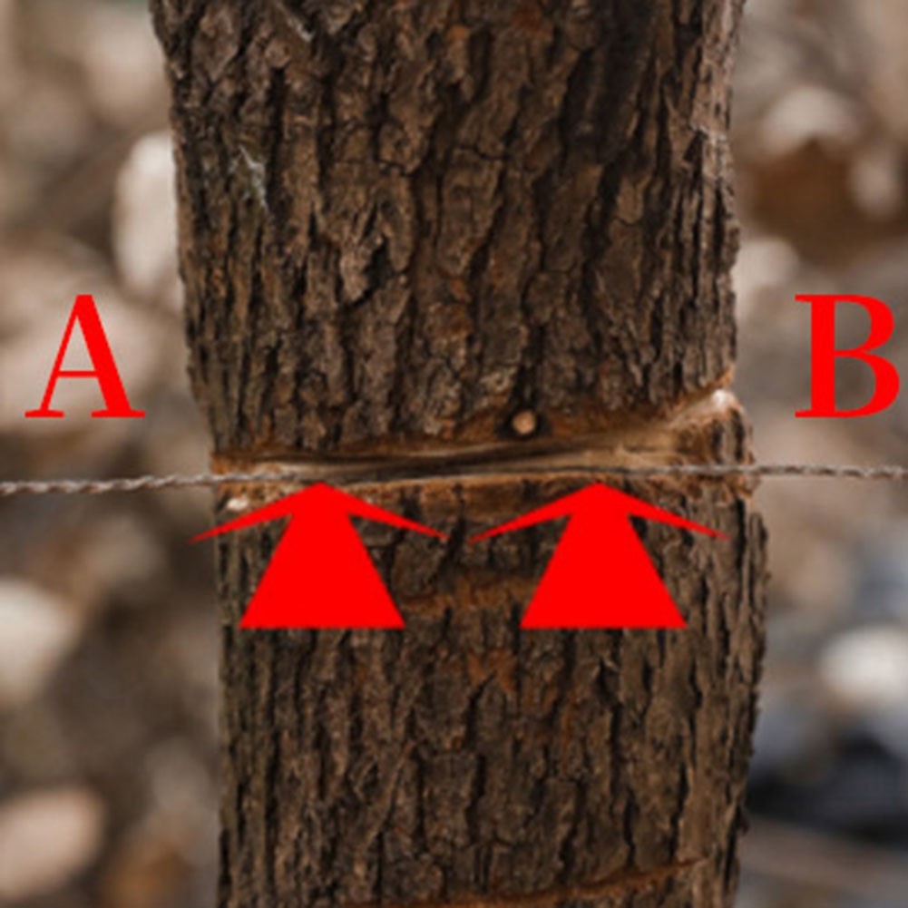 Spiral Winding Steel Wire Saw Perfect for Camping and Hiking Adventures